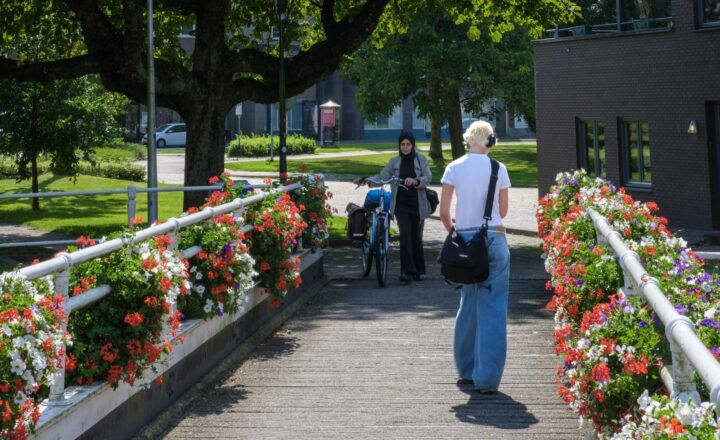 Handboek Circulaire Gebiedsontwikkeling – Een integrale aanpak